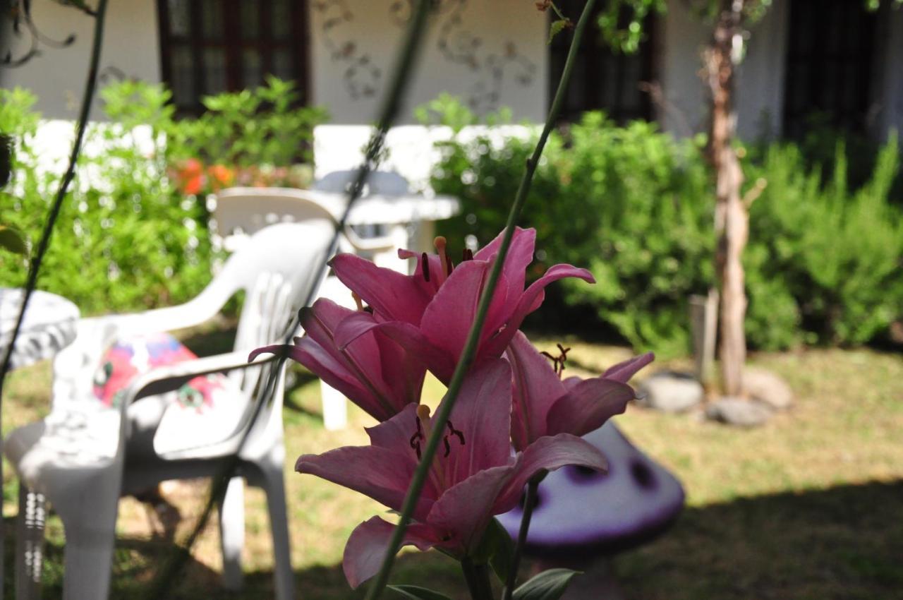 La Casa Del Arbol - Hostel El Bolsón Zewnętrze zdjęcie
